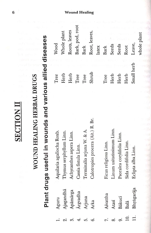 Wound Healing Drug Therapy